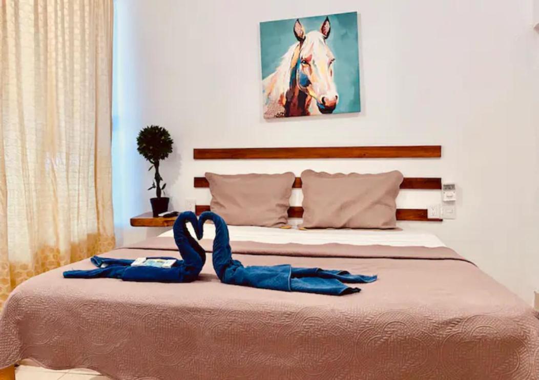 Ximajo Casa Piedra Hotel Brisas de Zicatela Kültér fotó